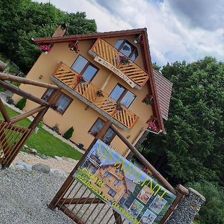 Vis Implinit Otel Cîrţişoara Dış mekan fotoğraf