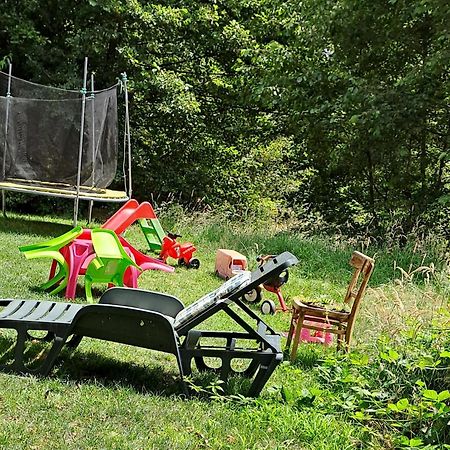 Vis Implinit Otel Cîrţişoara Dış mekan fotoğraf