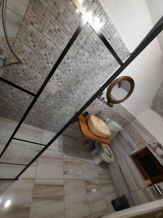 Vis Implinit Otel Cîrţişoara Dış mekan fotoğraf