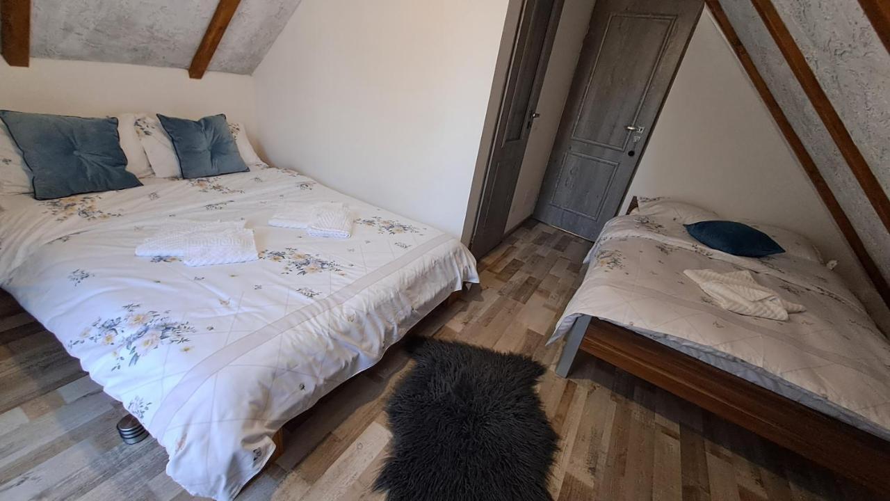 Vis Implinit Otel Cîrţişoara Dış mekan fotoğraf