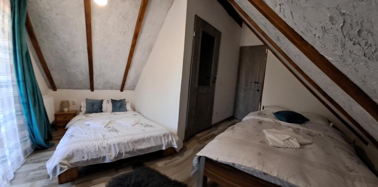 Vis Implinit Otel Cîrţişoara Dış mekan fotoğraf