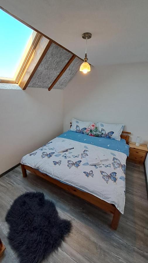 Vis Implinit Otel Cîrţişoara Dış mekan fotoğraf
