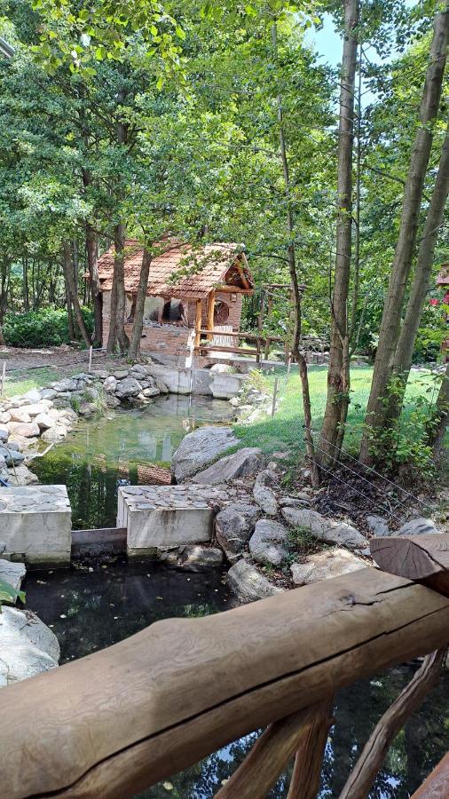 Vis Implinit Otel Cîrţişoara Dış mekan fotoğraf