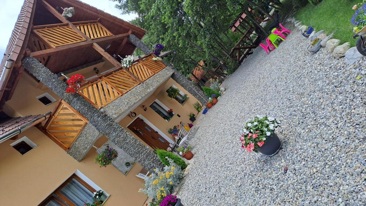 Vis Implinit Otel Cîrţişoara Dış mekan fotoğraf