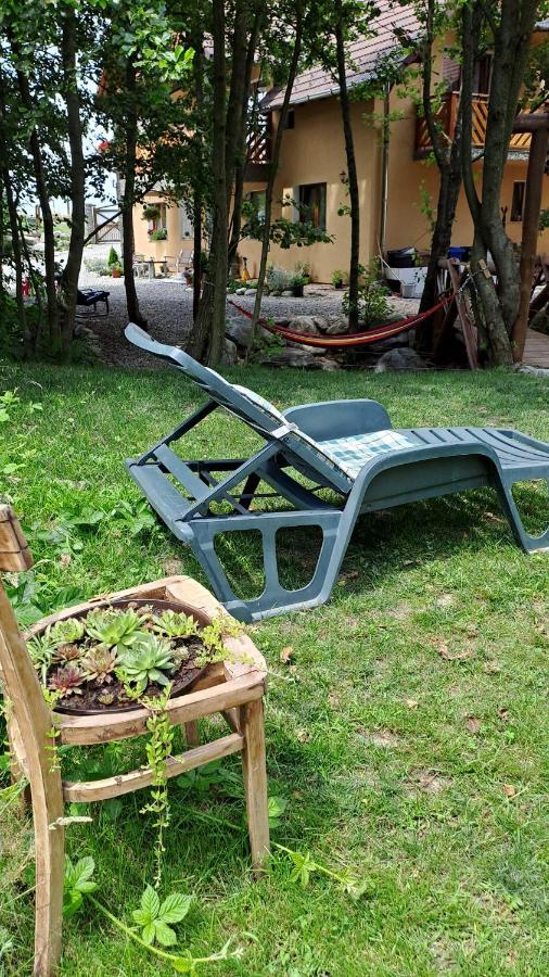 Vis Implinit Otel Cîrţişoara Dış mekan fotoğraf