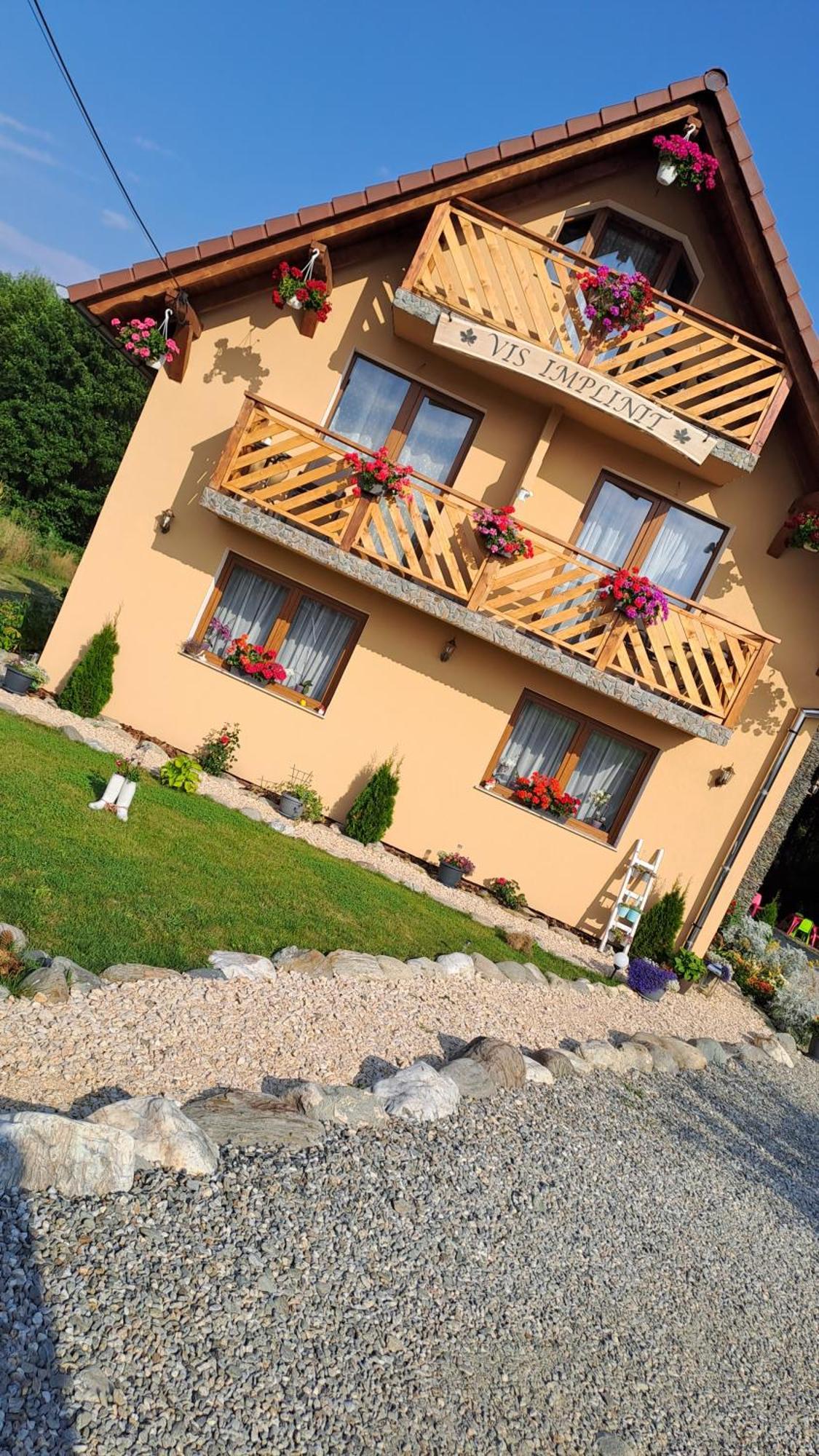 Vis Implinit Otel Cîrţişoara Dış mekan fotoğraf