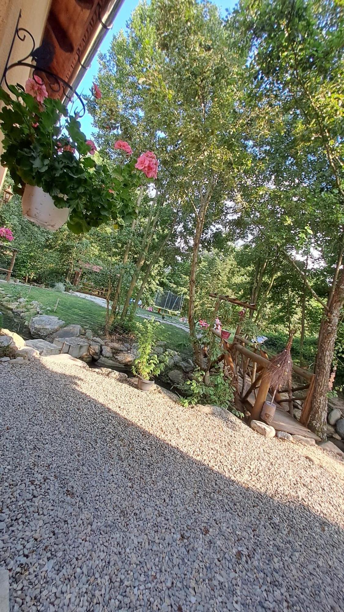 Vis Implinit Otel Cîrţişoara Dış mekan fotoğraf