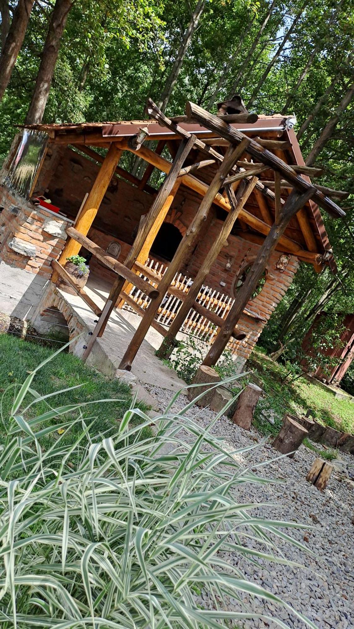Vis Implinit Otel Cîrţişoara Dış mekan fotoğraf